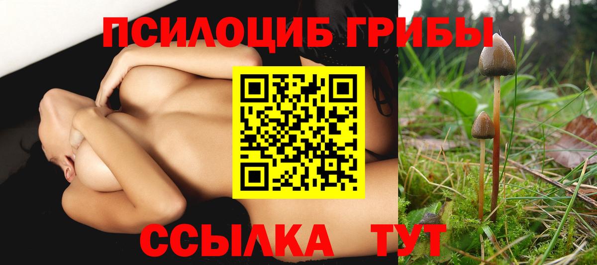 Псилоцибиновые грибы MAGIC MUSHROOMS Каменск-Уральский