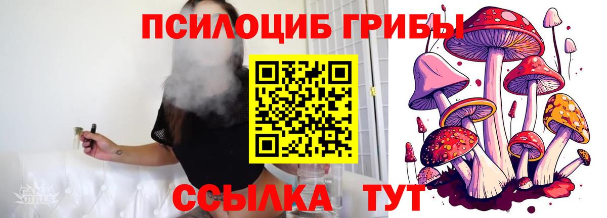 Псилоцибиновые грибы GOLDEN TEACHER  Вход с VPN  Каменск-Уральский 